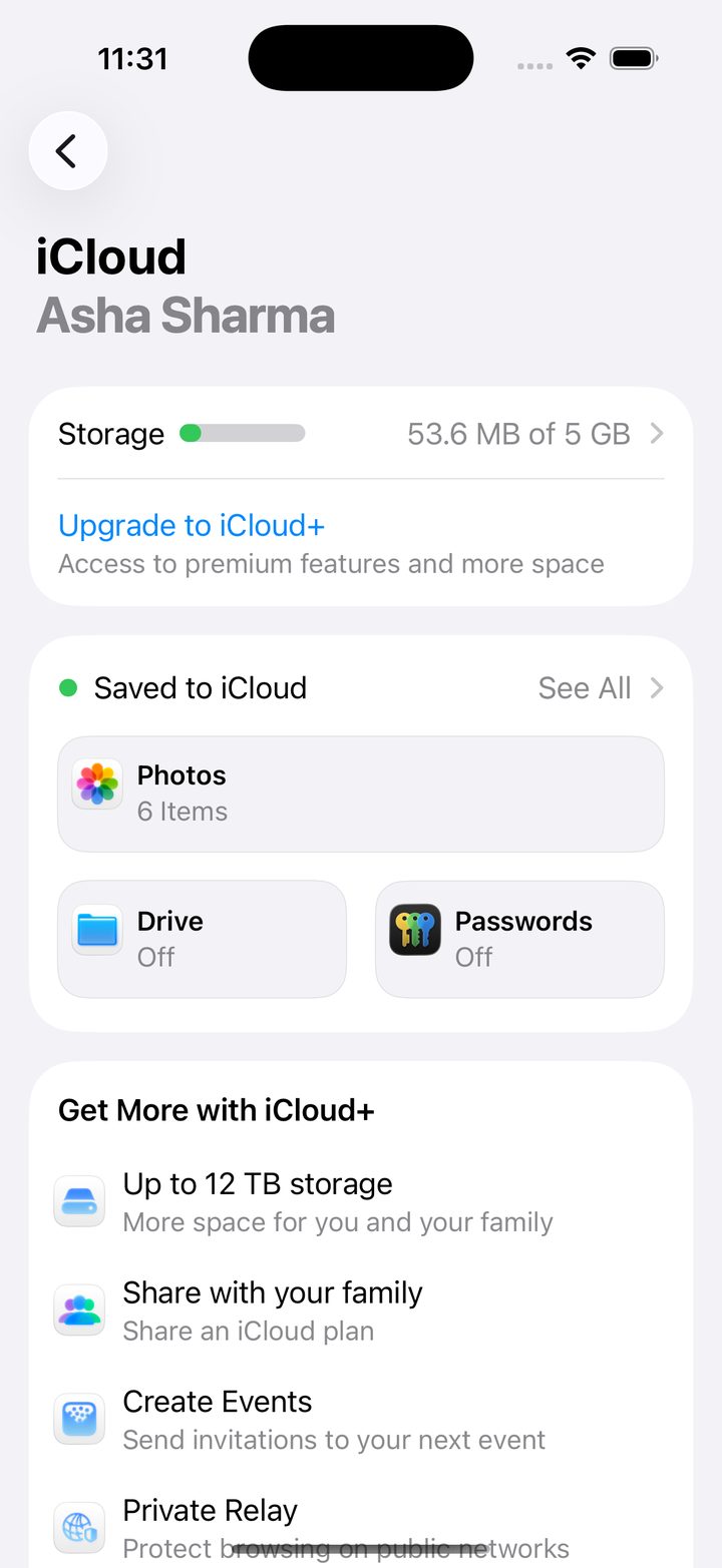 The iCloud page, with the storage bar at the top